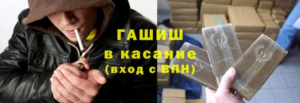 стафф Касимов