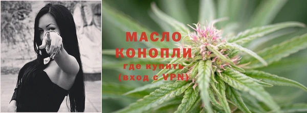 винт Инта