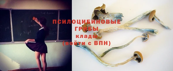 соль курить ск Иннополис